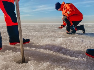 �����������